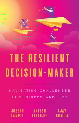 Resilient Decision-Maker