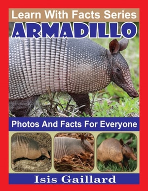 Armadillo Photos and Facts for Everyone