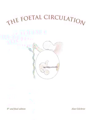 Foetal Circulation