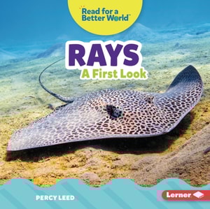 Rays