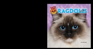 Ragdolls