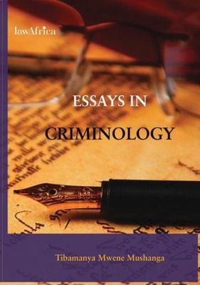 Professional Ethics: A Kenyan Perspective