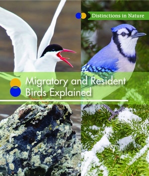 Migratory and Resident Birds Explained