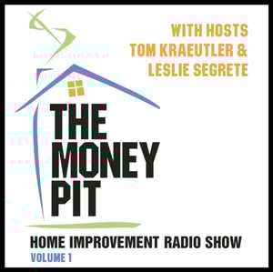 Money Pit, Vol. 1