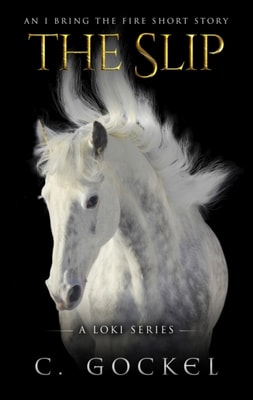 Slip: An I Bring the Fire Short Story