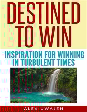 Destined to Win: Inspiration for Winning in Turbulent Times