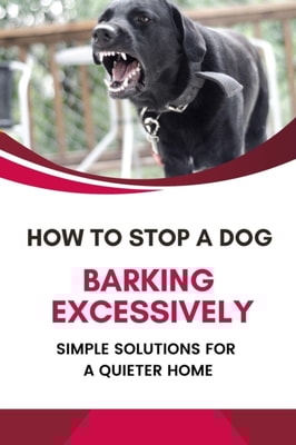 How to Stop a Dog from Barking Excessively: Simple Solutions for a Quieter Home