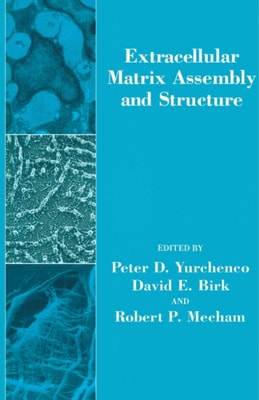 Finite Element and Finite Difference Methods in Electromagnetic Scattering