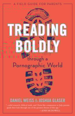 Treading Boldly through a Pornographic World