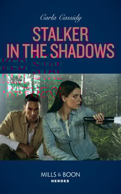 Stalker In The Shadows