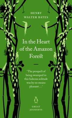 In the Heart of the Amazon Forest