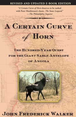 Certain Curve of Horn