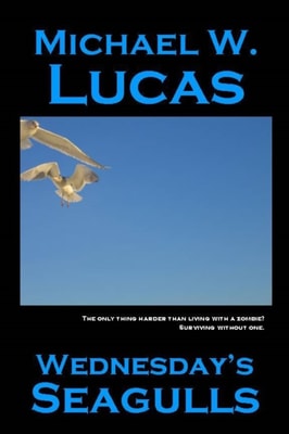 Wednesday's Seagulls