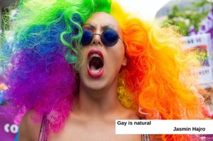 Gay Is Natural