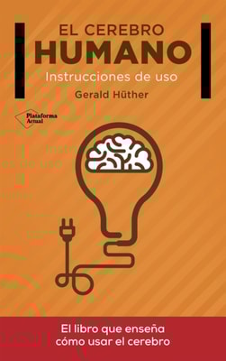 El cerebro humano
