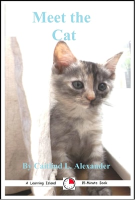 Meet the Cat
