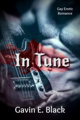 In Tune: Gay Erotic Romance