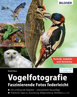 Vogelfotografie: Faszinierende Fotos federleicht