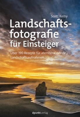 Praxiswissen COBIT