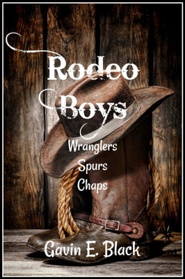 Rodeo Boys: Gay Erotica