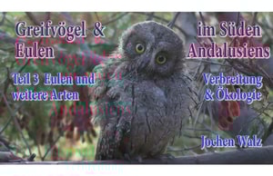Greifvögel und Eulen im Süden Andalusiens Teil 3 Eulen und weitere Arten