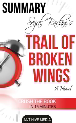 Sejal Badani's Trail of Broken Wings  Summary