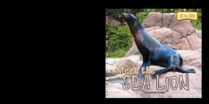 Meet the Sea Lion