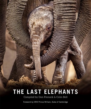 Last Elephants