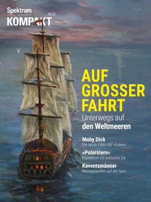 Spektrum Psychologie - Loslassen