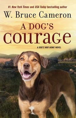 Dog's Courage