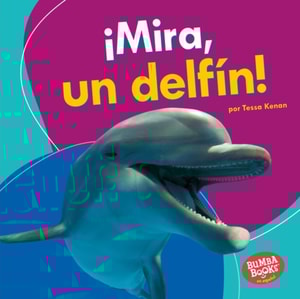 ¡Mira, un delfín! (Look, a Dolphin!)