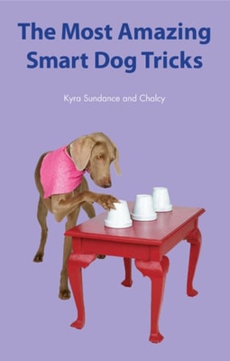 Most Amazing Silly Dog Tricks