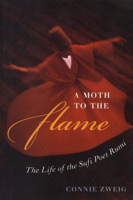 Moth to the Flame