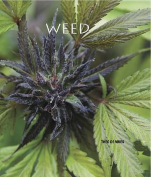 Weed