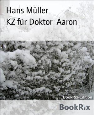KZ fur Doktor  Aaron