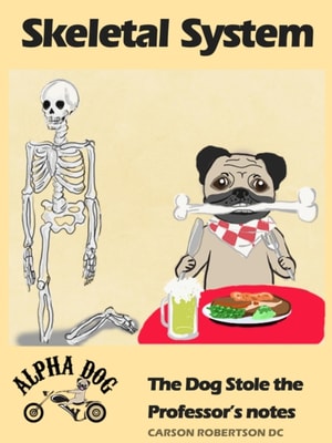 Skeletal System - The Dog Stole the Professor's Notes