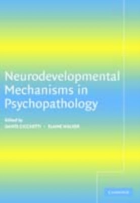 Neurodevelopmental Mechanisms in Psychopathology
