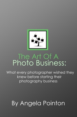 Art Of A Photo Business: what every photographer wished they learned before starting their photography business
