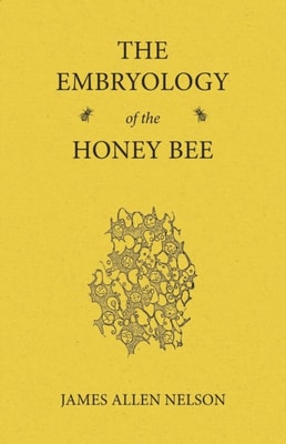Embryology of the Honey Bee