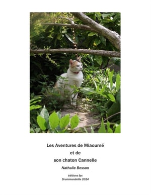 Miaoume, une chatte, et son chaton Cannelle
