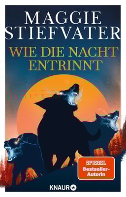 Wie die Nacht entrinnt