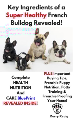 Key Ingredients of a Super Healthy French Bulldog Revealed