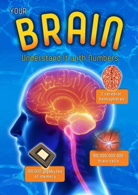Your Brain