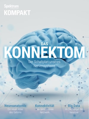 Die Struktur des Kosmos