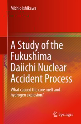Study of the Fukushima Daiichi Nuclear Accident Process
