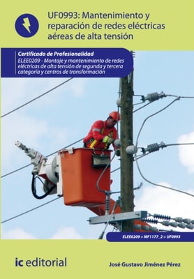 Mantenimiento de redes eléctricas aéreas de alta tensión. ELEE0209
