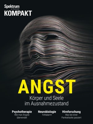 Gehirn&Geist 3/2019 Der Immun-Faktor
