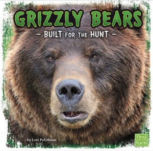 Grizzly Bears