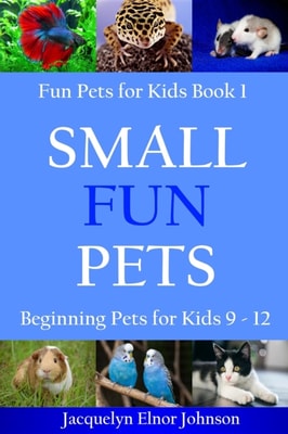 Small Fun Pets : Beginning Pets for Kids 9-12