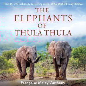Elephants of Thula Thula